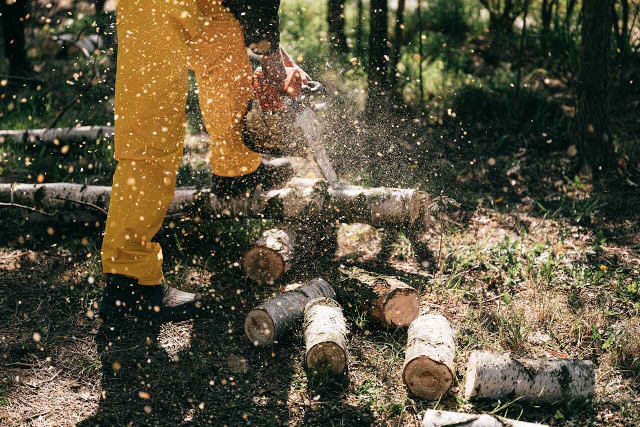 Best Tree Trimming Near Me  in Fordyce, AR